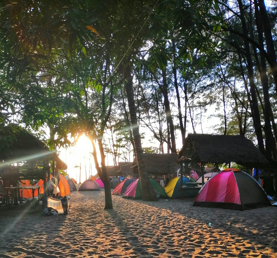 A relaxed beachfront campsite with tents