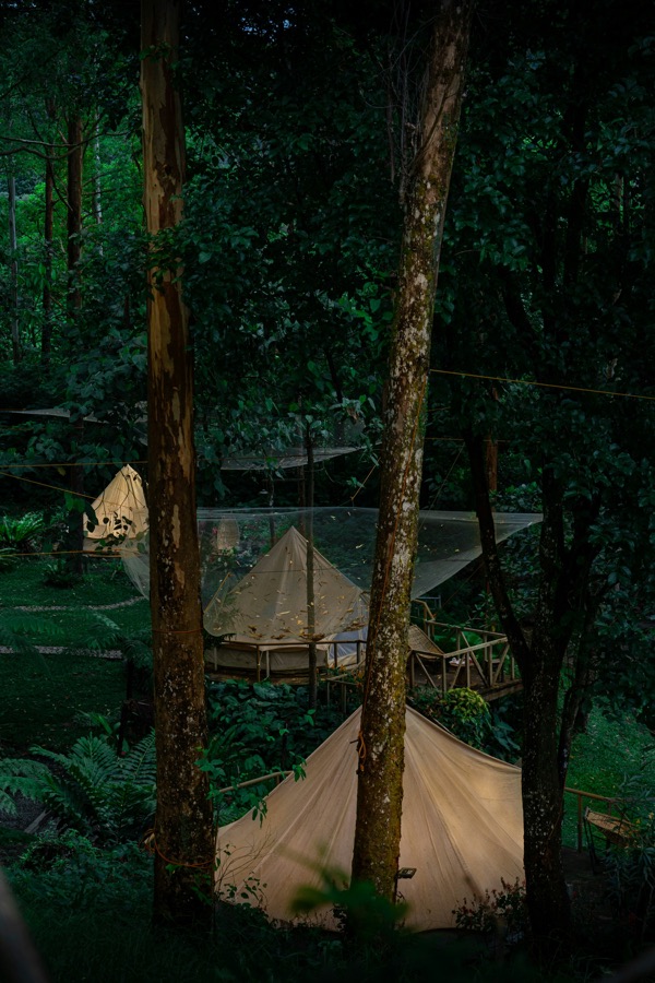 A calm tent campsite in a green forest